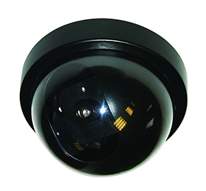 Caméra dôme factice ATELYS